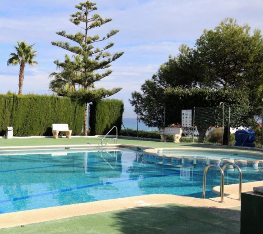 Apartment With Sea View, La Mata ตอร์เรเวียคา ภายนอก รูปภาพ